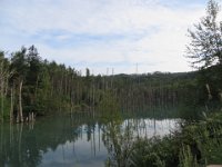 img (59)